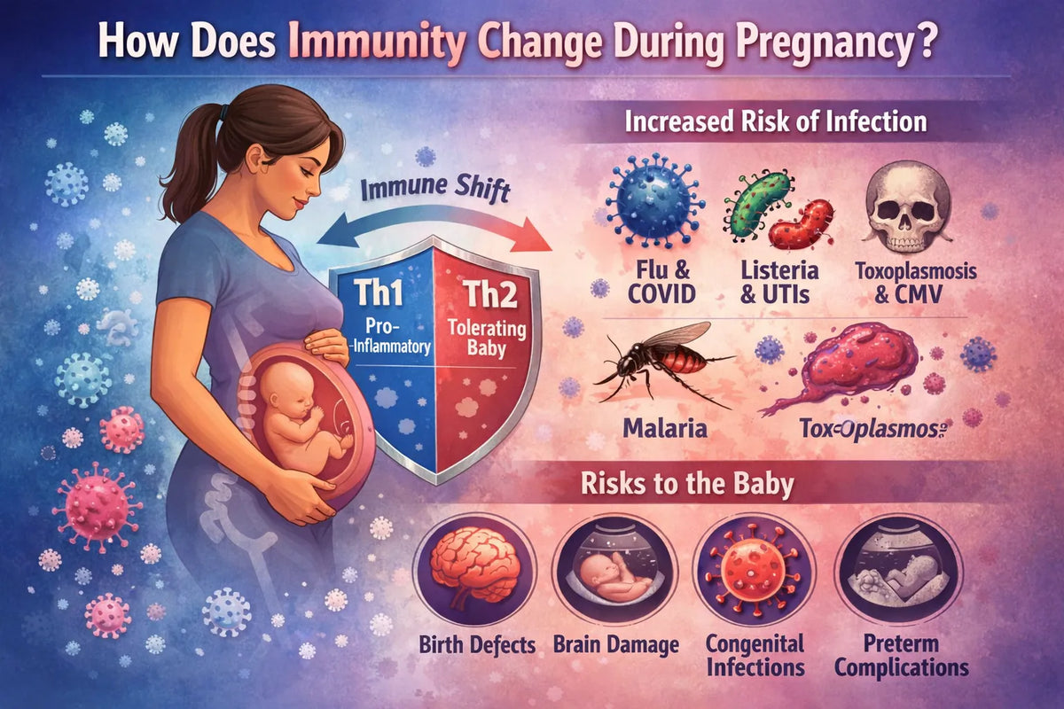 How Does Immunity Change During Pregnancy?