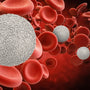 White blood cells during pregnancy - normal WBC count and infection risks
